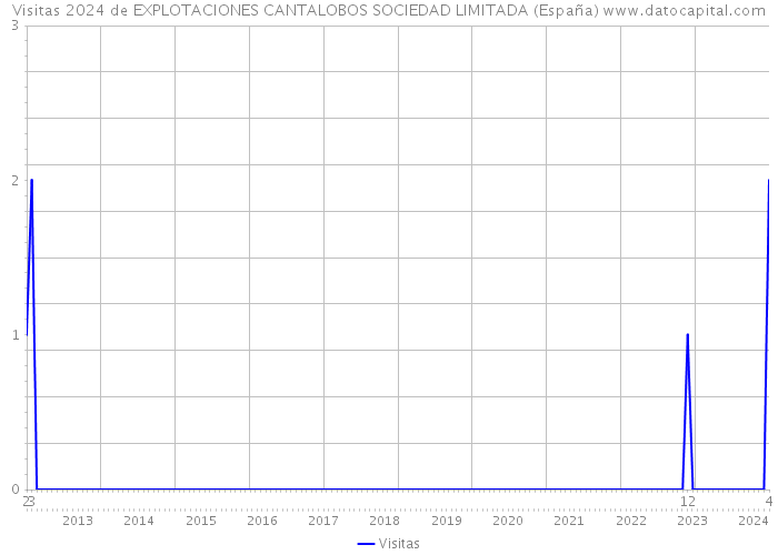 Visitas 2024 de EXPLOTACIONES CANTALOBOS SOCIEDAD LIMITADA (España) 