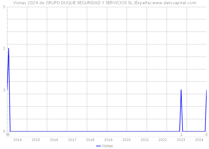 Visitas 2024 de GRUPO DUQUE SEGURIDAD Y SERVICIOS SL (España) 
