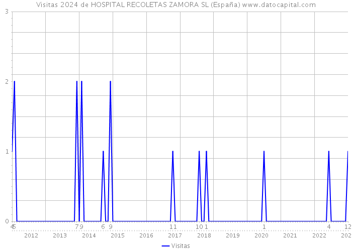 Visitas 2024 de HOSPITAL RECOLETAS ZAMORA SL (España) 