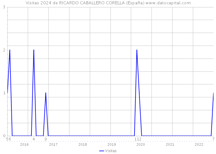 Visitas 2024 de RICARDO CABALLERO CORELLA (España) 