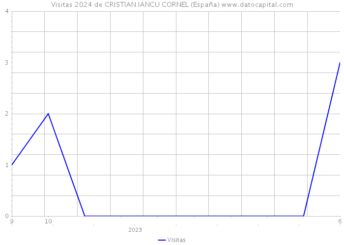 Visitas 2024 de CRISTIAN IANCU CORNEL (España) 
