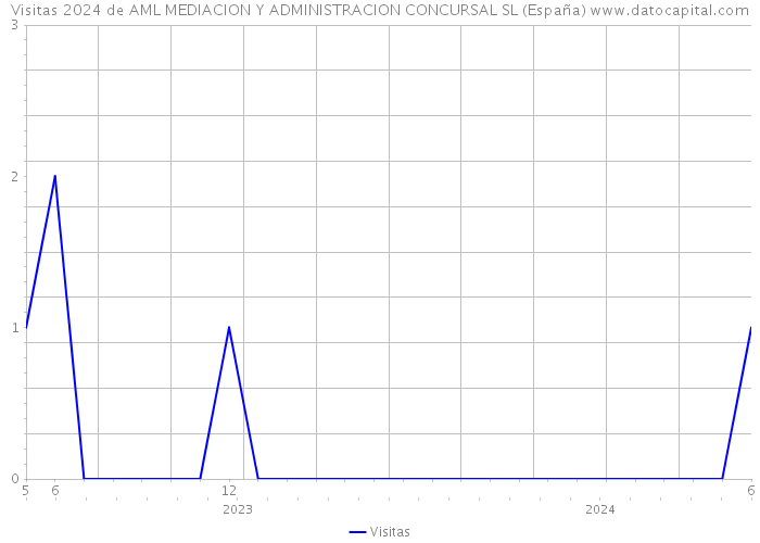 Visitas 2024 de AML MEDIACION Y ADMINISTRACION CONCURSAL SL (España) 