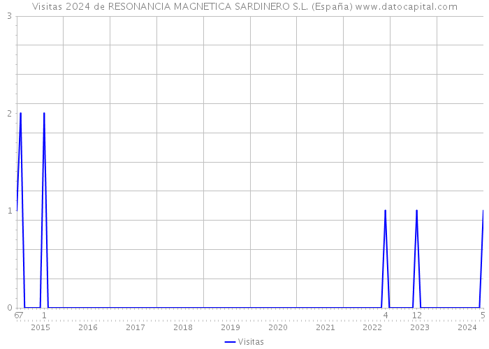 Visitas 2024 de RESONANCIA MAGNETICA SARDINERO S.L. (España) 