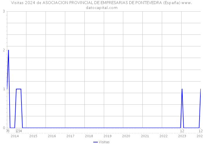 Visitas 2024 de ASOCIACION PROVINCIAL DE EMPRESARIAS DE PONTEVEDRA (España) 