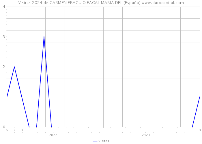 Visitas 2024 de CARMEN FRAGUIO FACAL MARIA DEL (España) 