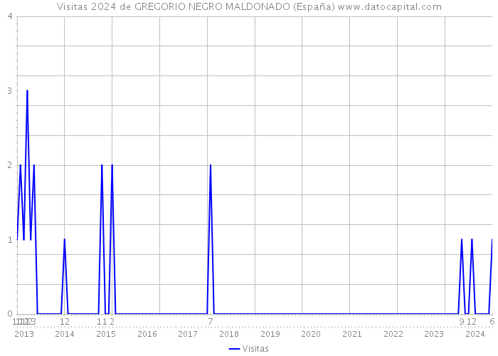 Visitas 2024 de GREGORIO NEGRO MALDONADO (España) 