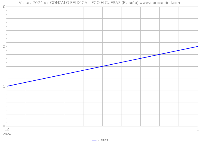 Visitas 2024 de GONZALO FELIX GALLEGO HIGUERAS (España) 