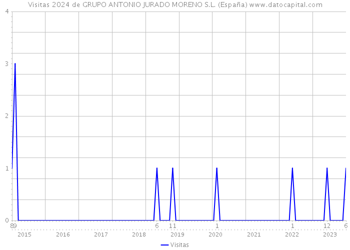 Visitas 2024 de GRUPO ANTONIO JURADO MORENO S.L. (España) 