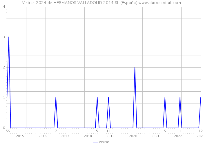 Visitas 2024 de HERMANOS VALLADOLID 2014 SL (España) 