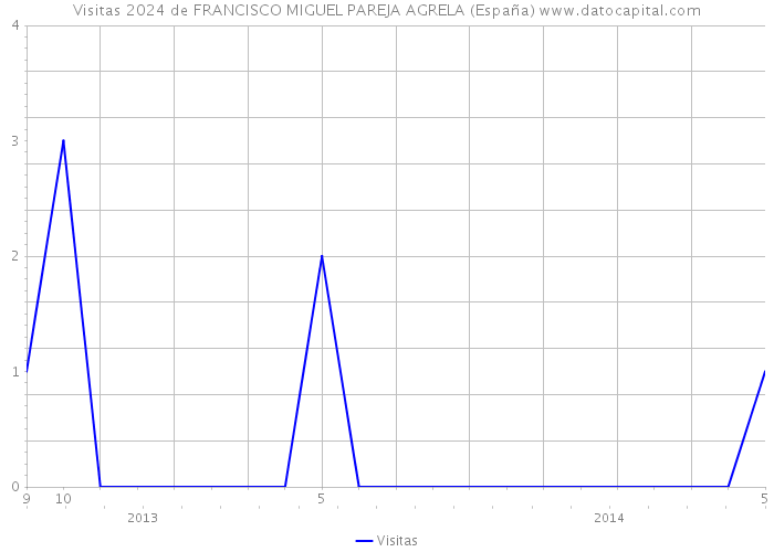Visitas 2024 de FRANCISCO MIGUEL PAREJA AGRELA (España) 