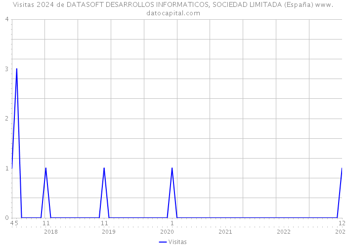 Visitas 2024 de DATASOFT DESARROLLOS INFORMATICOS, SOCIEDAD LIMITADA (España) 