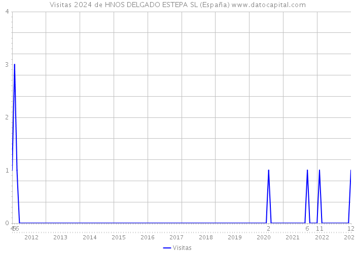 Visitas 2024 de HNOS DELGADO ESTEPA SL (España) 