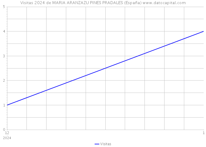 Visitas 2024 de MARIA ARANZAZU PINES PRADALES (España) 