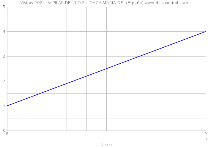 Visitas 2024 de PILAR DEL RIO ZULOAGA MARIA DEL (España) 