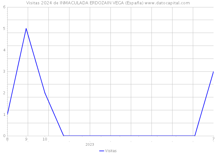 Visitas 2024 de INMACULADA ERDOZAIN VEGA (España) 