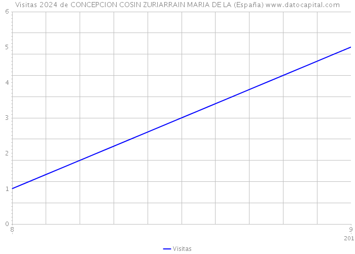Visitas 2024 de CONCEPCION COSIN ZURIARRAIN MARIA DE LA (España) 