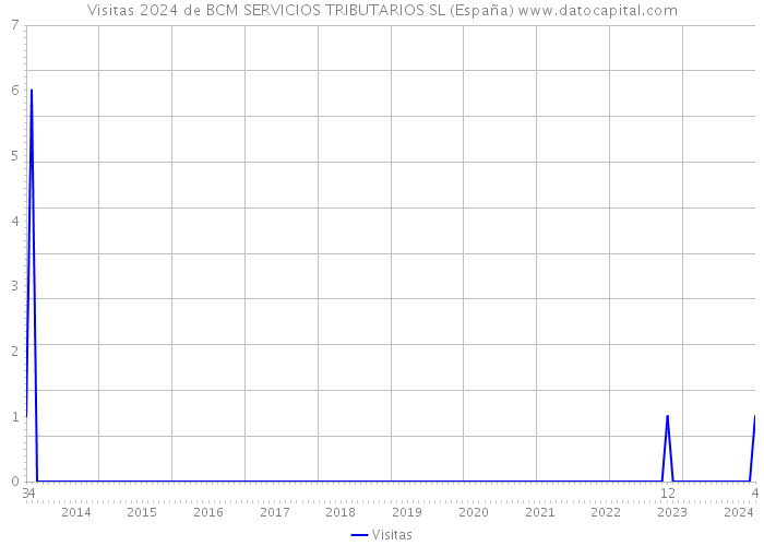 Visitas 2024 de BCM SERVICIOS TRIBUTARIOS SL (España) 