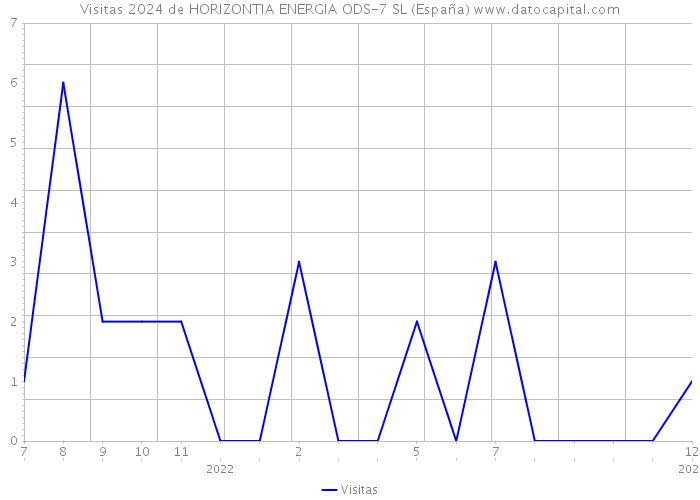 Visitas 2024 de HORIZONTIA ENERGIA ODS-7 SL (España) 