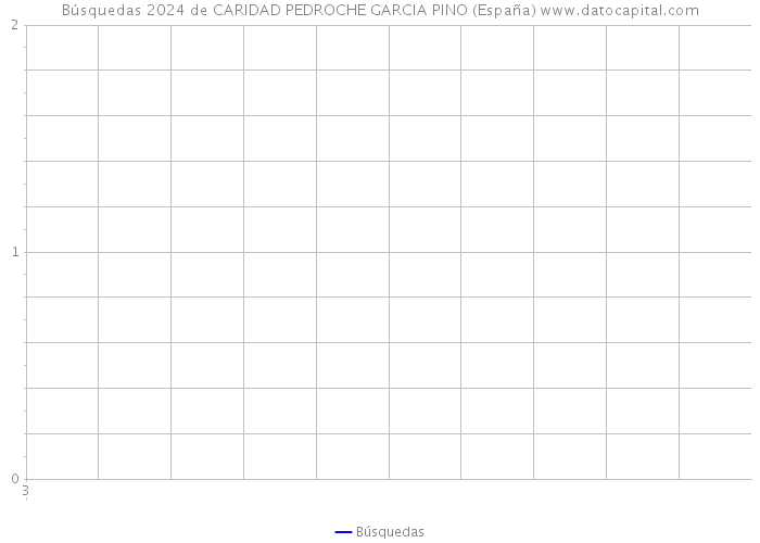 Búsquedas 2024 de CARIDAD PEDROCHE GARCIA PINO (España) 
