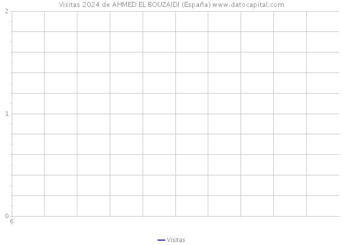 Visitas 2024 de AHMED EL BOUZAIDI (España) 