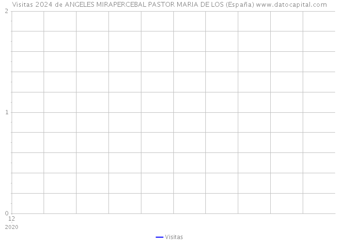 Visitas 2024 de ANGELES MIRAPERCEBAL PASTOR MARIA DE LOS (España) 