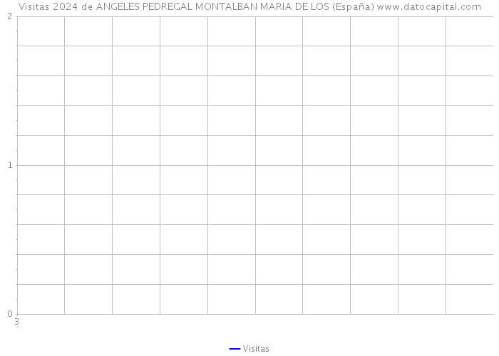 Visitas 2024 de ANGELES PEDREGAL MONTALBAN MARIA DE LOS (España) 