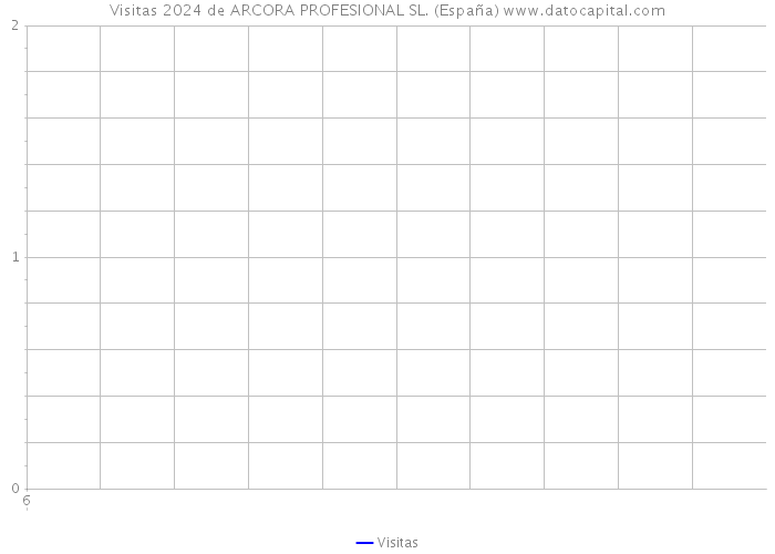 Visitas 2024 de ARCORA PROFESIONAL SL. (España) 