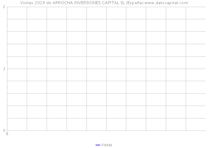 Visitas 2024 de ARROCHA INVERSIONES CAPITAL SL (España) 