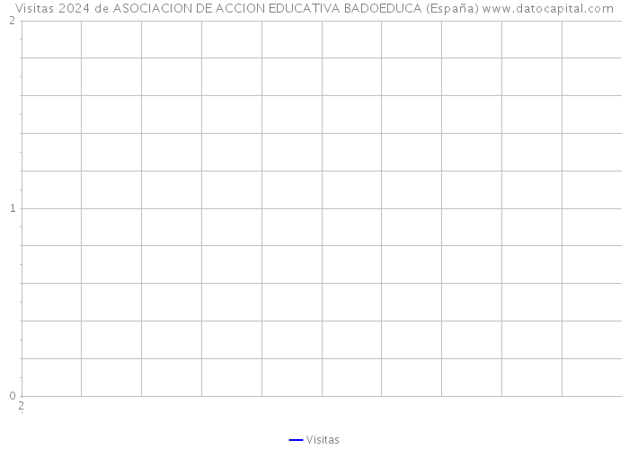 Visitas 2024 de ASOCIACION DE ACCION EDUCATIVA BADOEDUCA (España) 