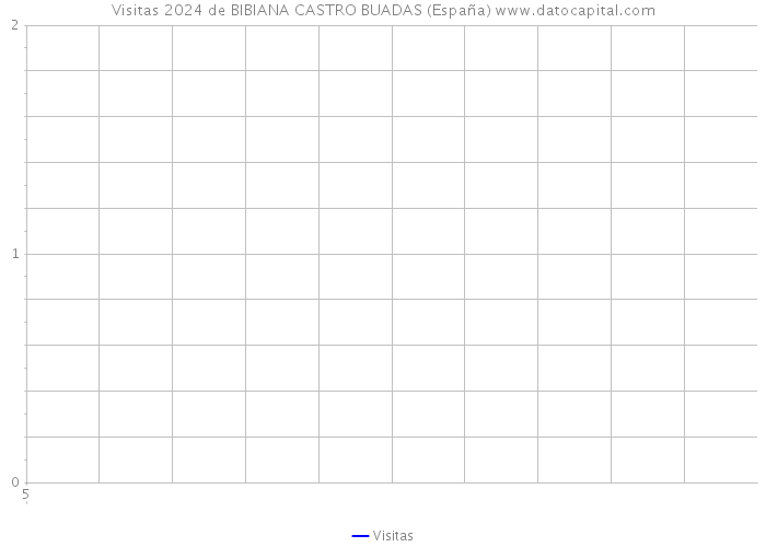 Visitas 2024 de BIBIANA CASTRO BUADAS (España) 