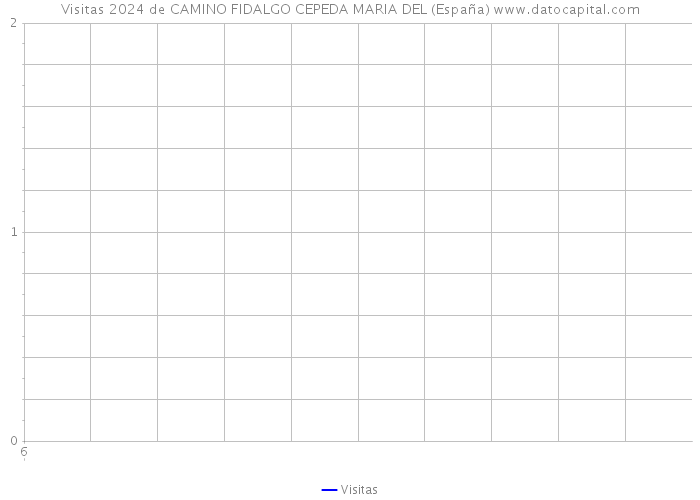 Visitas 2024 de CAMINO FIDALGO CEPEDA MARIA DEL (España) 