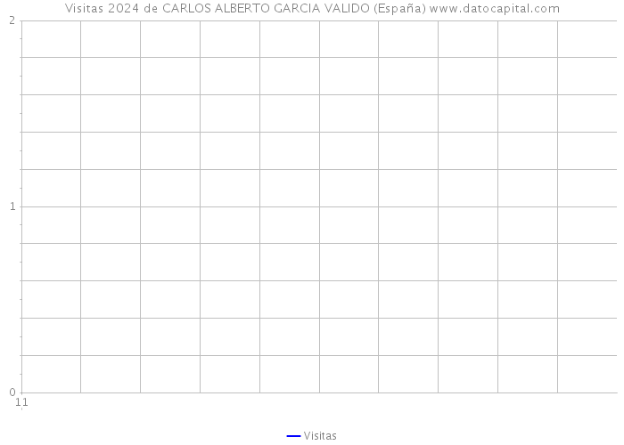 Visitas 2024 de CARLOS ALBERTO GARCIA VALIDO (España) 