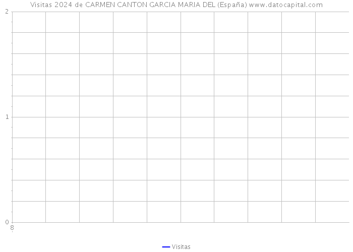Visitas 2024 de CARMEN CANTON GARCIA MARIA DEL (España) 