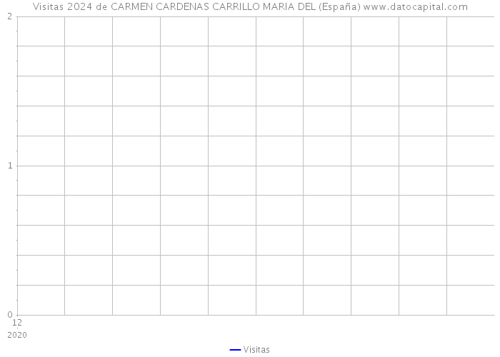 Visitas 2024 de CARMEN CARDENAS CARRILLO MARIA DEL (España) 