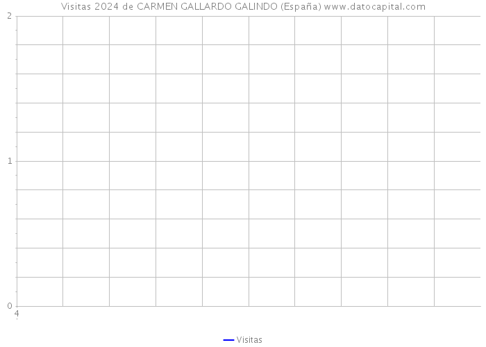 Visitas 2024 de CARMEN GALLARDO GALINDO (España) 