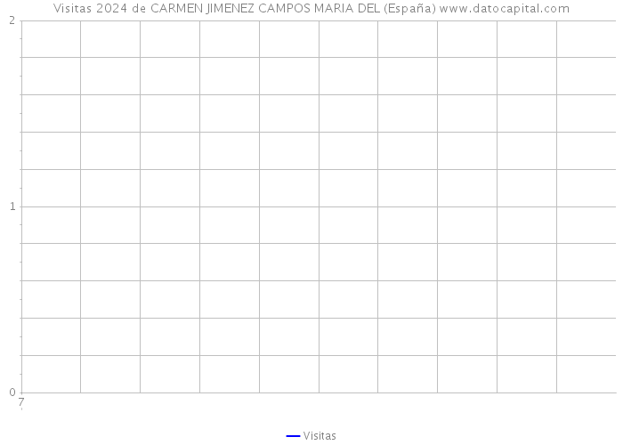Visitas 2024 de CARMEN JIMENEZ CAMPOS MARIA DEL (España) 