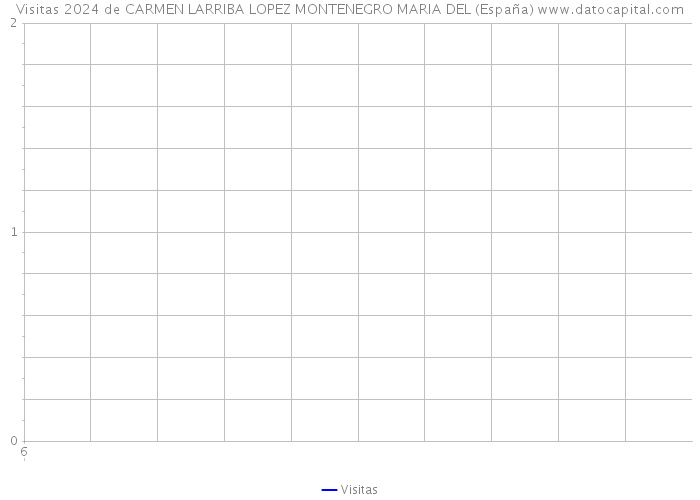 Visitas 2024 de CARMEN LARRIBA LOPEZ MONTENEGRO MARIA DEL (España) 
