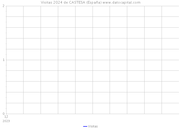 Visitas 2024 de CASTESA (España) 