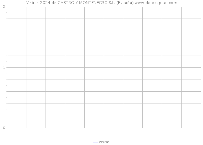 Visitas 2024 de CASTRO Y MONTENEGRO S.L. (España) 