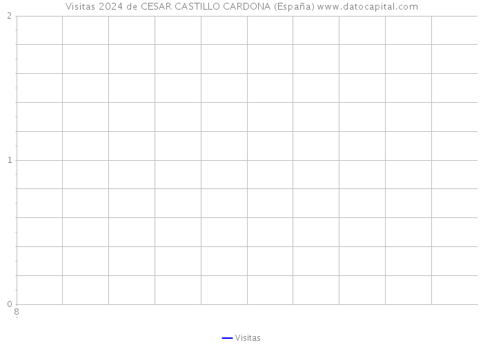 Visitas 2024 de CESAR CASTILLO CARDONA (España) 
