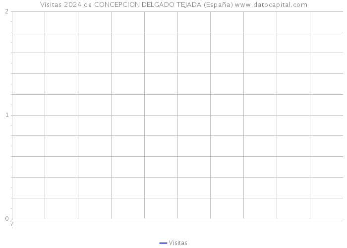 Visitas 2024 de CONCEPCION DELGADO TEJADA (España) 