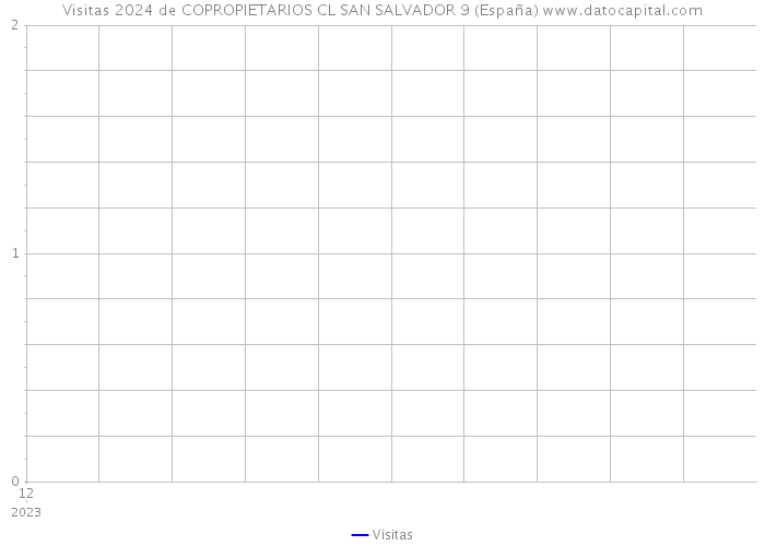 Visitas 2024 de COPROPIETARIOS CL SAN SALVADOR 9 (España) 