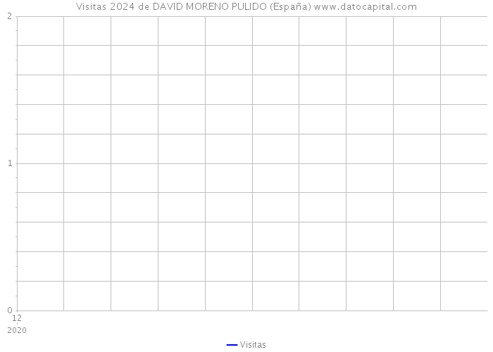 Visitas 2024 de DAVID MORENO PULIDO (España) 