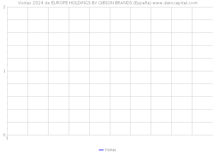 Visitas 2024 de EUROPE HOLDINGS BV GIBSON BRANDS (España) 