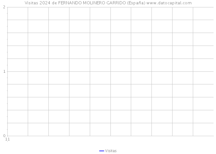 Visitas 2024 de FERNANDO MOLINERO GARRIDO (España) 