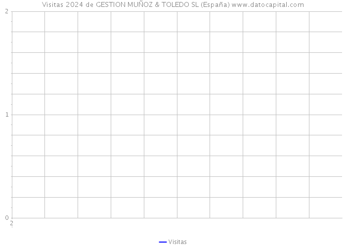 Visitas 2024 de GESTION MUÑOZ & TOLEDO SL (España) 