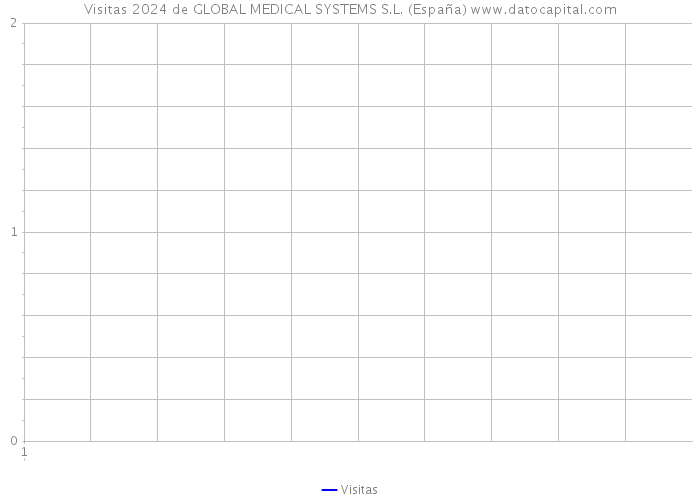 Visitas 2024 de GLOBAL MEDICAL SYSTEMS S.L. (España) 