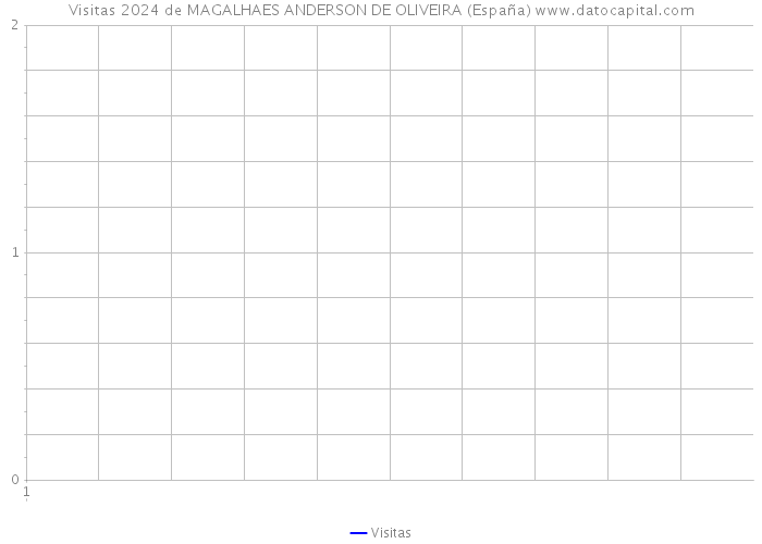 Visitas 2024 de MAGALHAES ANDERSON DE OLIVEIRA (España) 