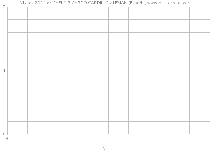 Visitas 2024 de PABLO RICARDO CARDILLO ALEMAN (España) 
