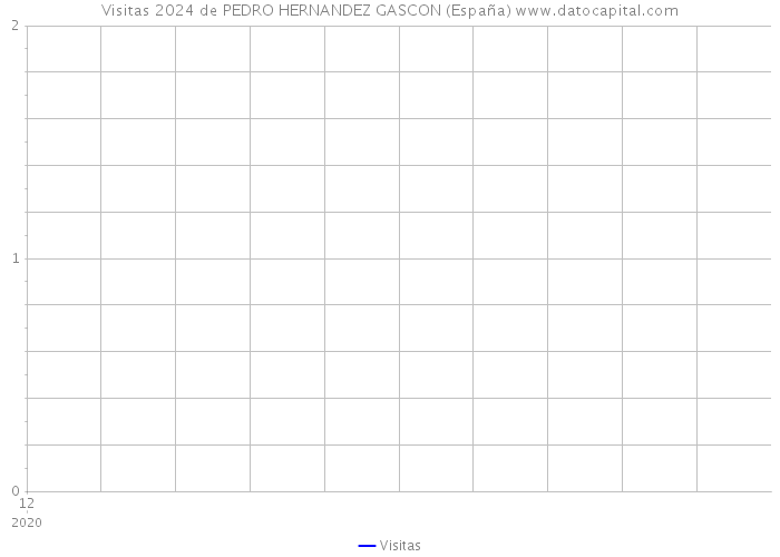 Visitas 2024 de PEDRO HERNANDEZ GASCON (España) 